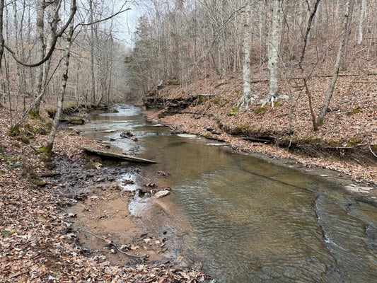 COLLIERS BEND RD, CHARLOTTE, TN 37036 - Image aa7fed6363d1bc5b7fcb849c46f4f7ed/4029535856
