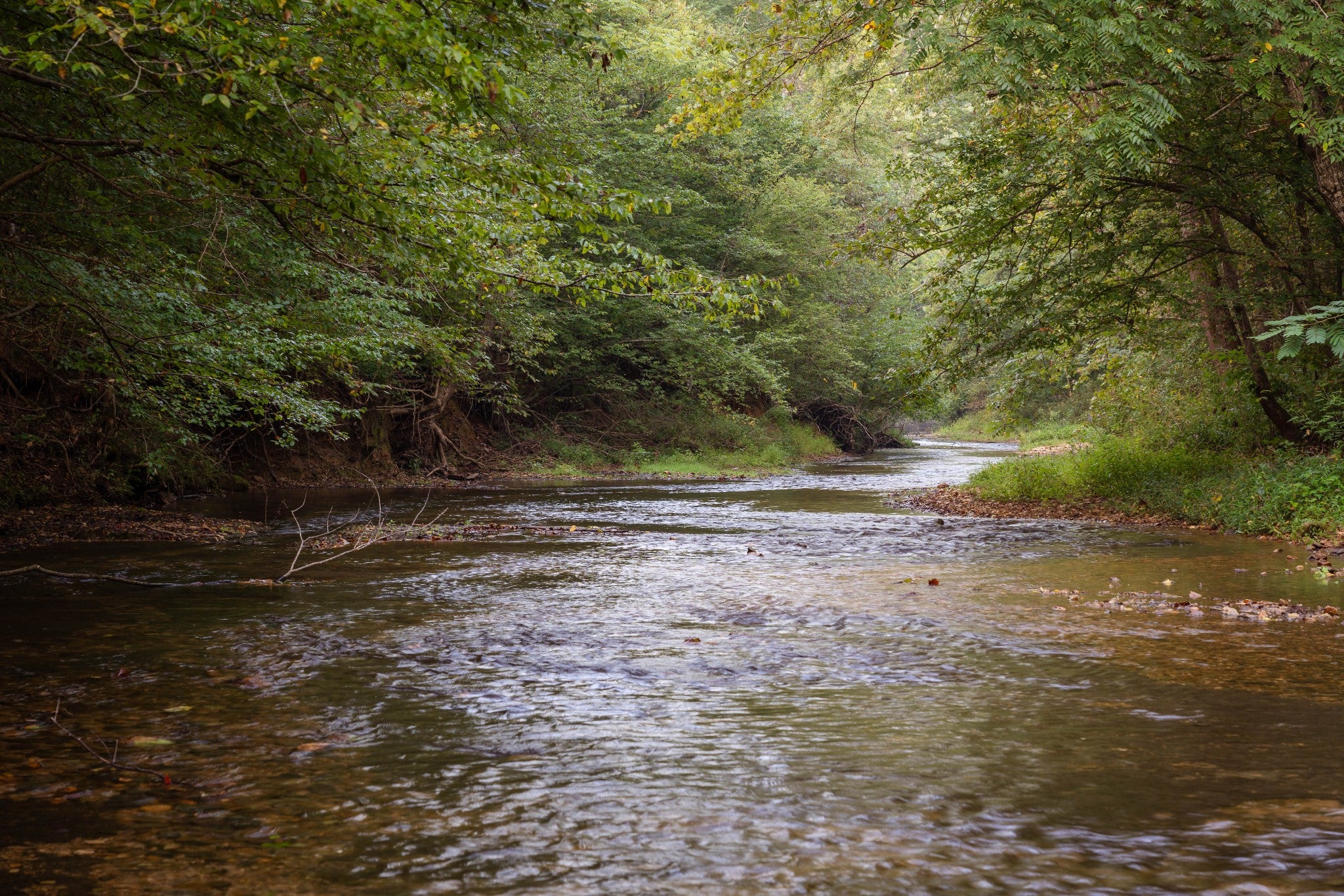 0 Old Mill Creek Rd