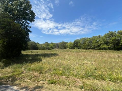 910 Campsite Rd Castalian Springs TN 37031