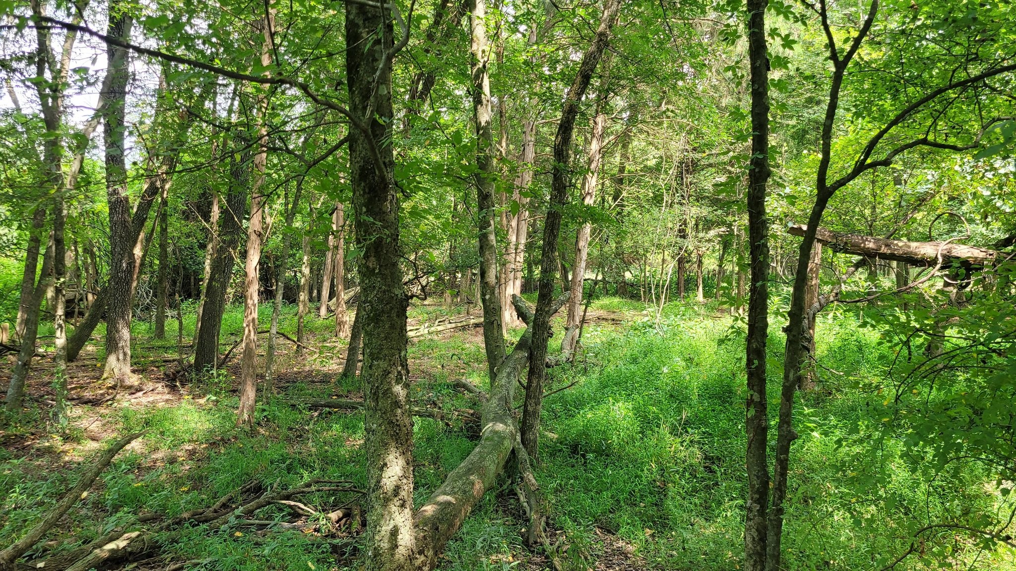 3 Knights Campground Rd