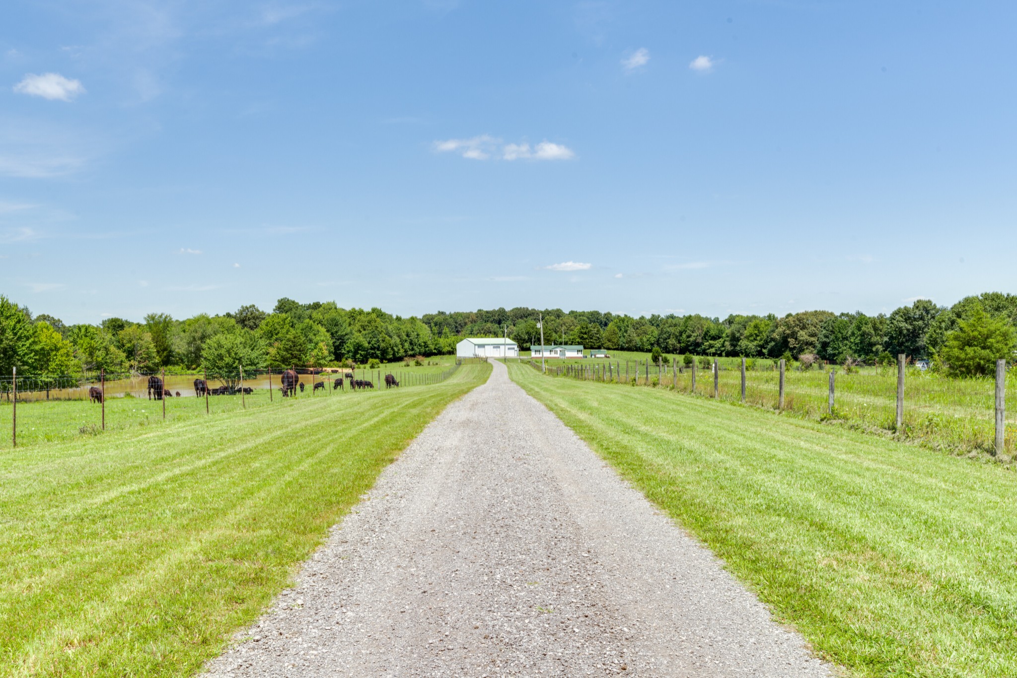 1250B Mount Olive Rd