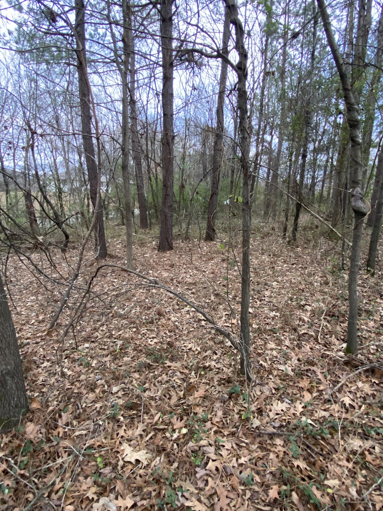 1434 Key Corner St Ext