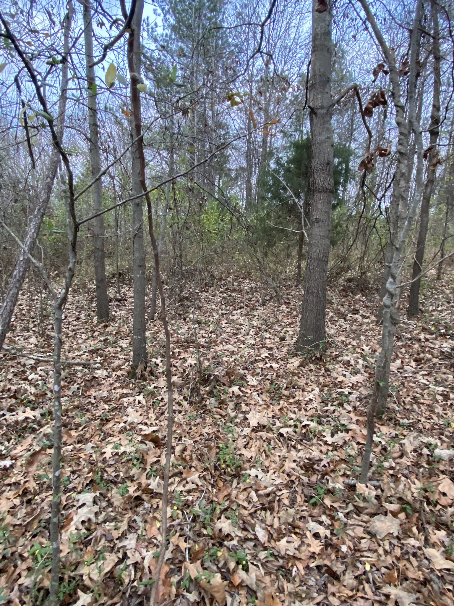 1434 Key Corner St Ext