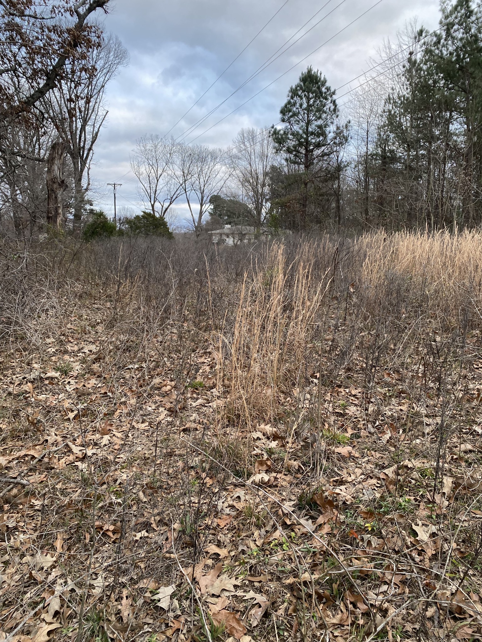 1434 Key Corner St Ext