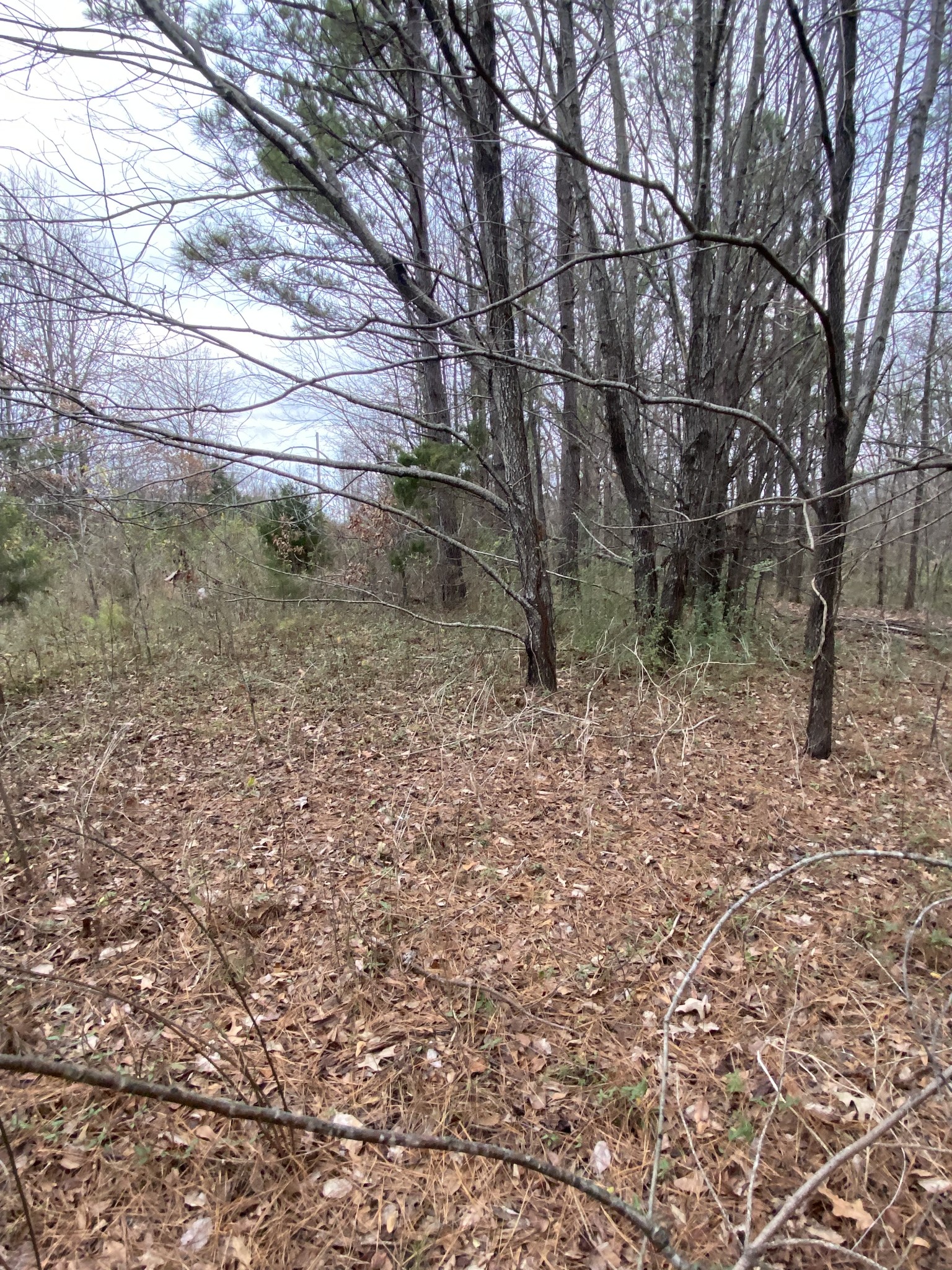 1434 Key Corner St Ext