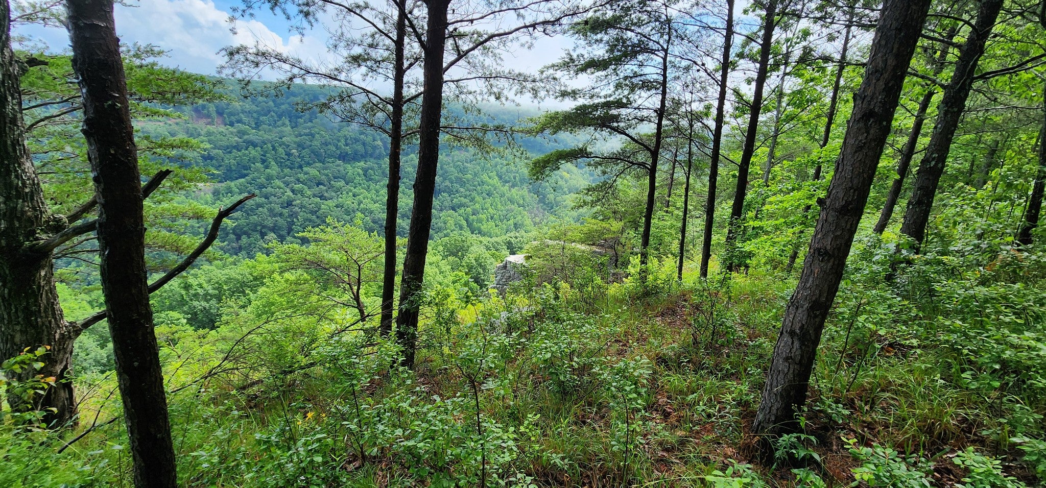 0 Eagle Point Drive