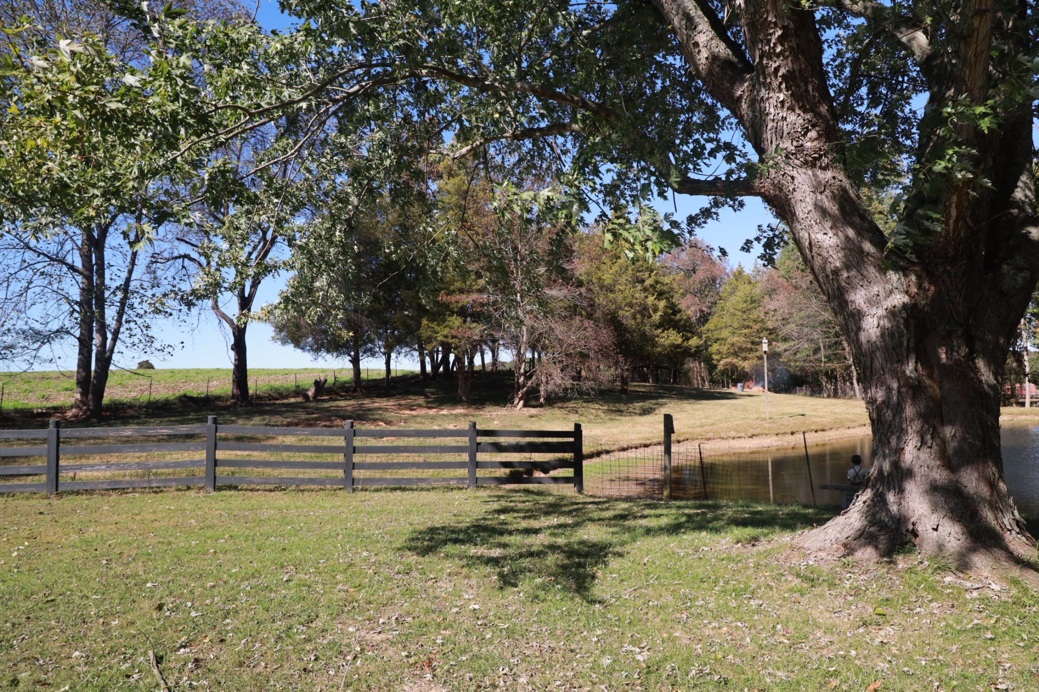 12354 Owens Chapel Rd
