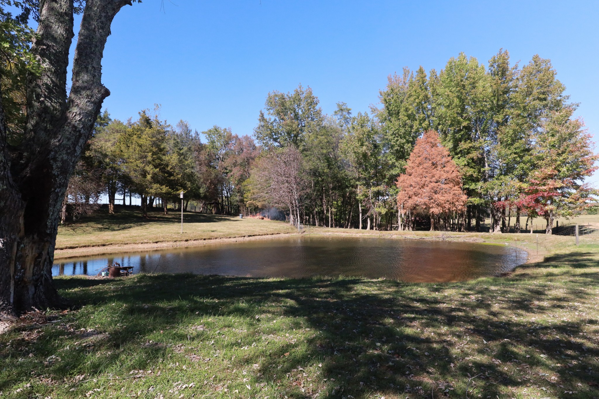 12354 Owens Chapel Rd