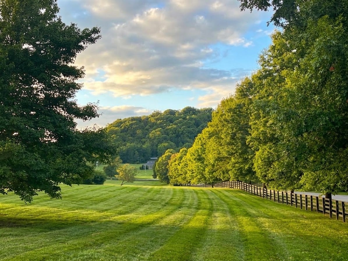 5-bed listing at 3215 Kinnard Springs Rd, Franklin