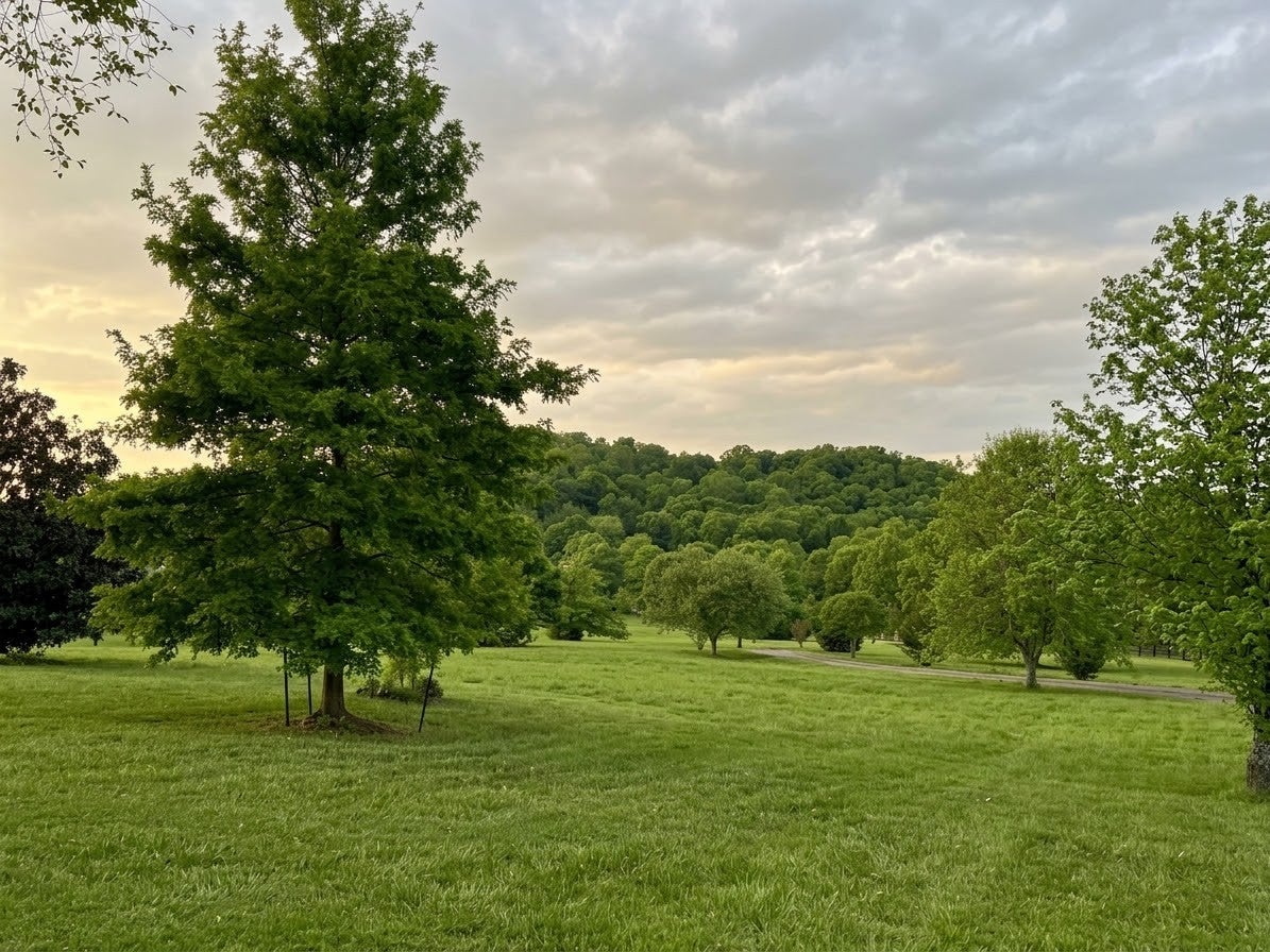 3215 Kinnard Springs Rd