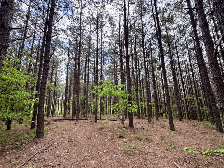 Escape the ordinary and enjoy the perfect blend of beauty and nature! Just love the rolling hills!