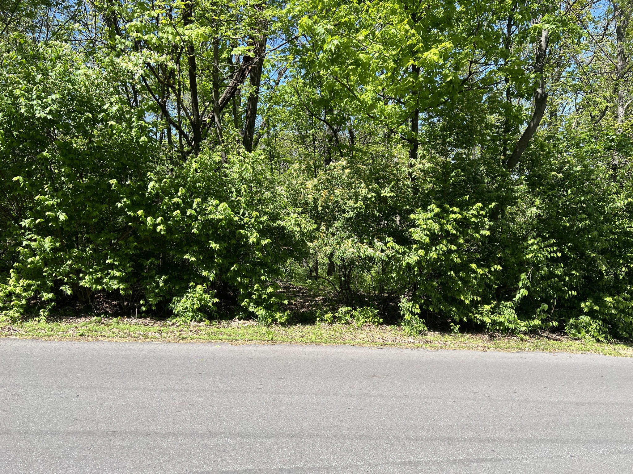 1305 Robert E Lee Ln