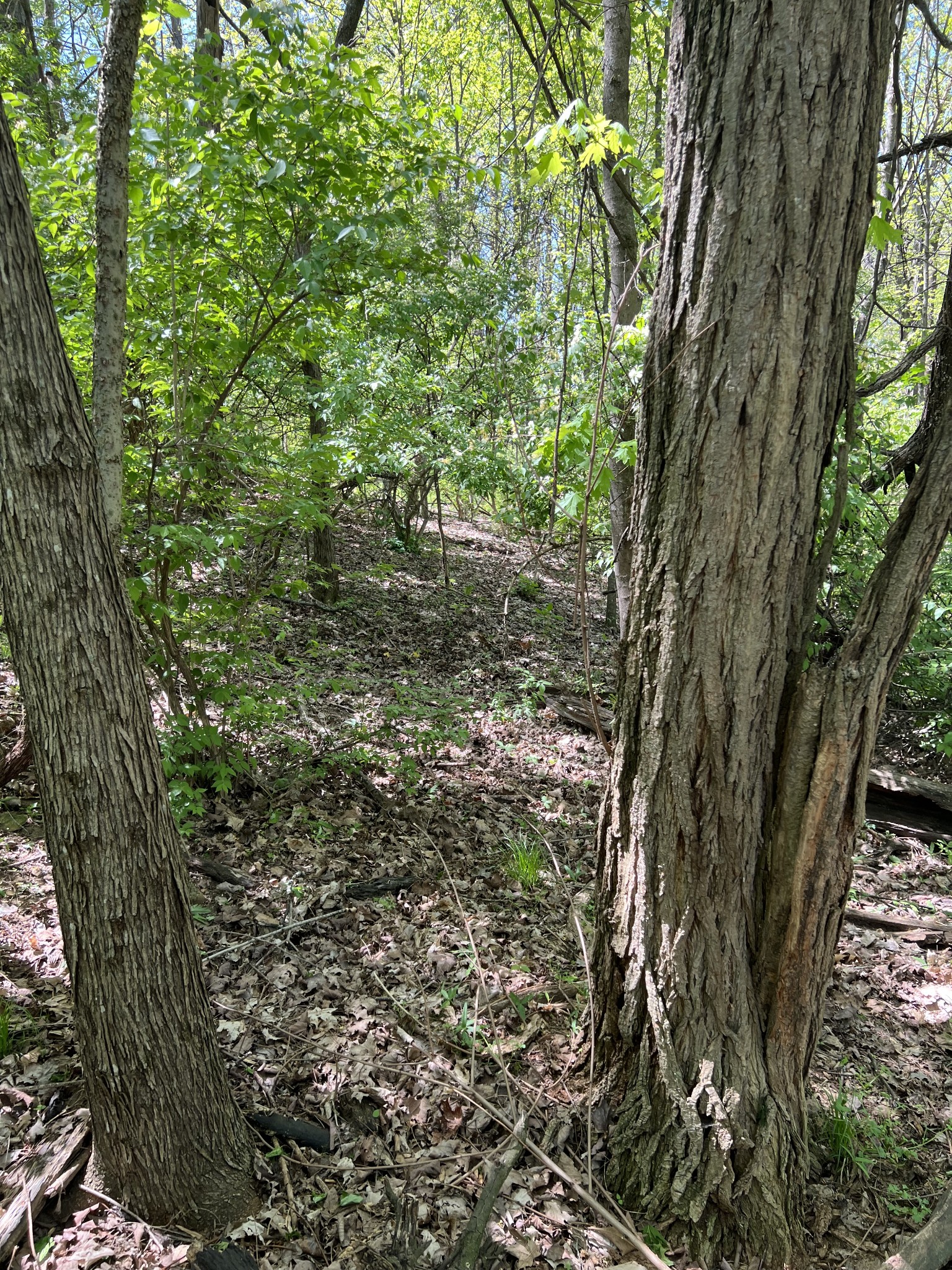 1305 Robert E Lee Ln