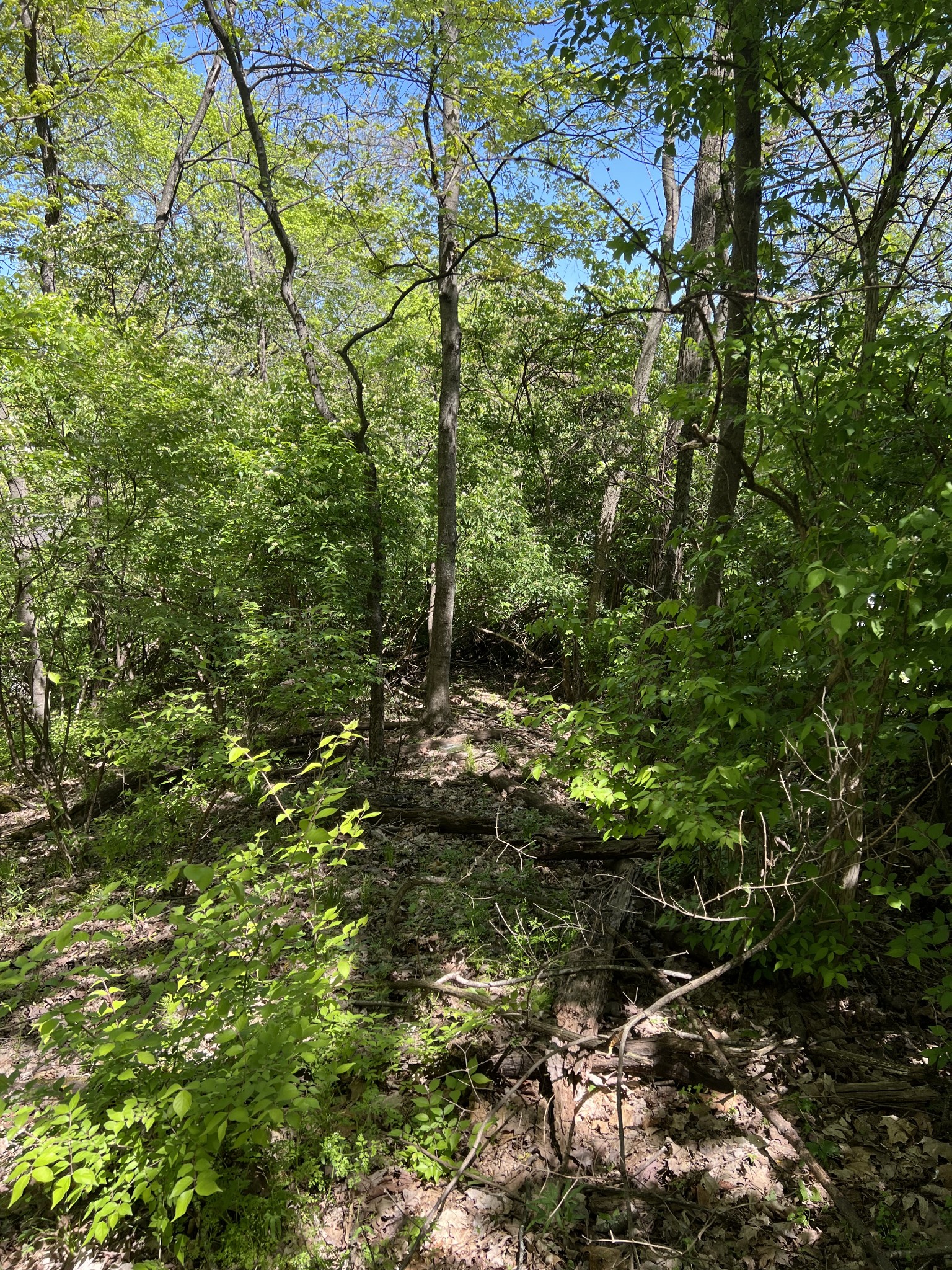 1305 Robert E Lee Ln