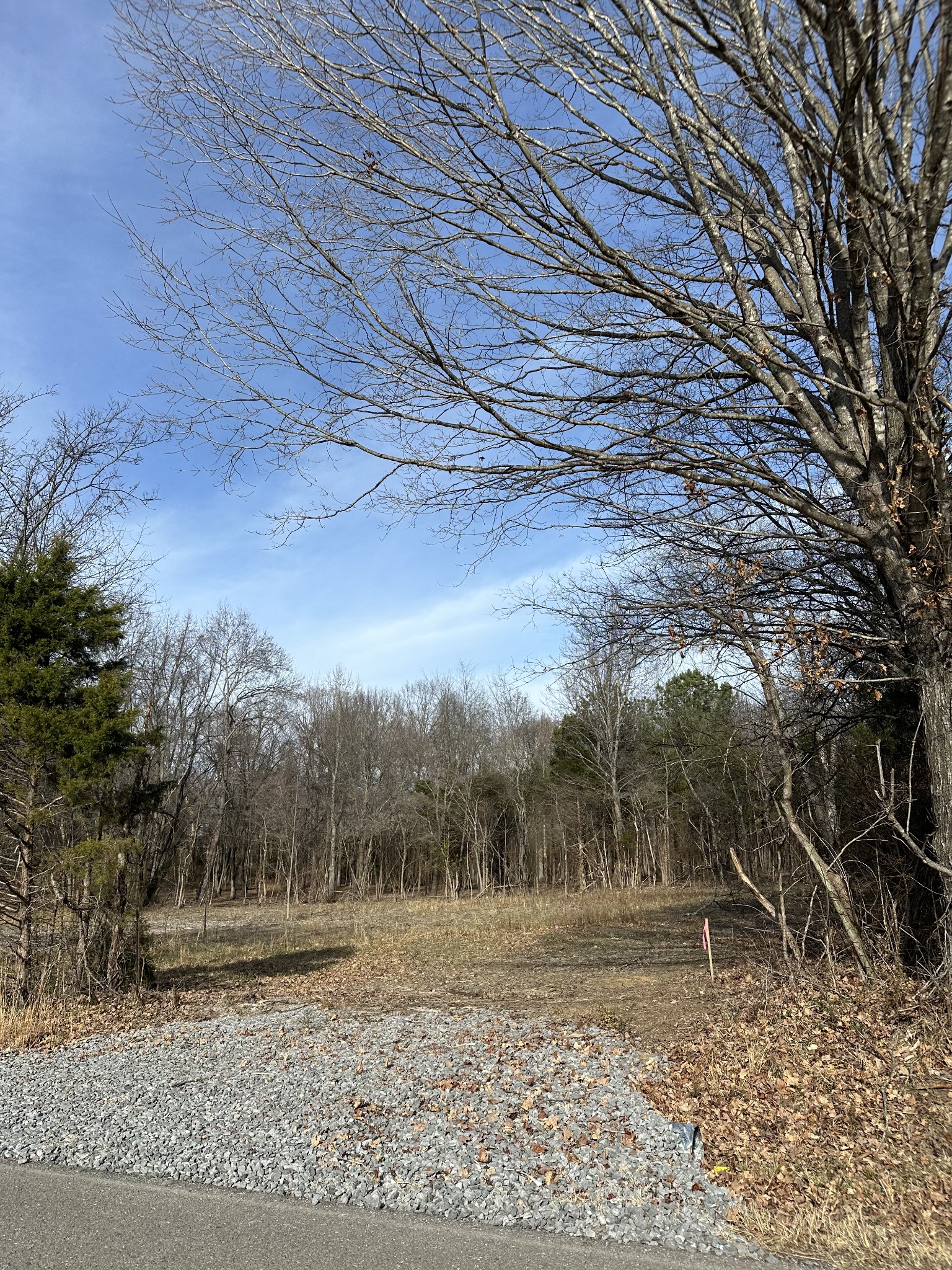 1991 Raymond Hodges Rd