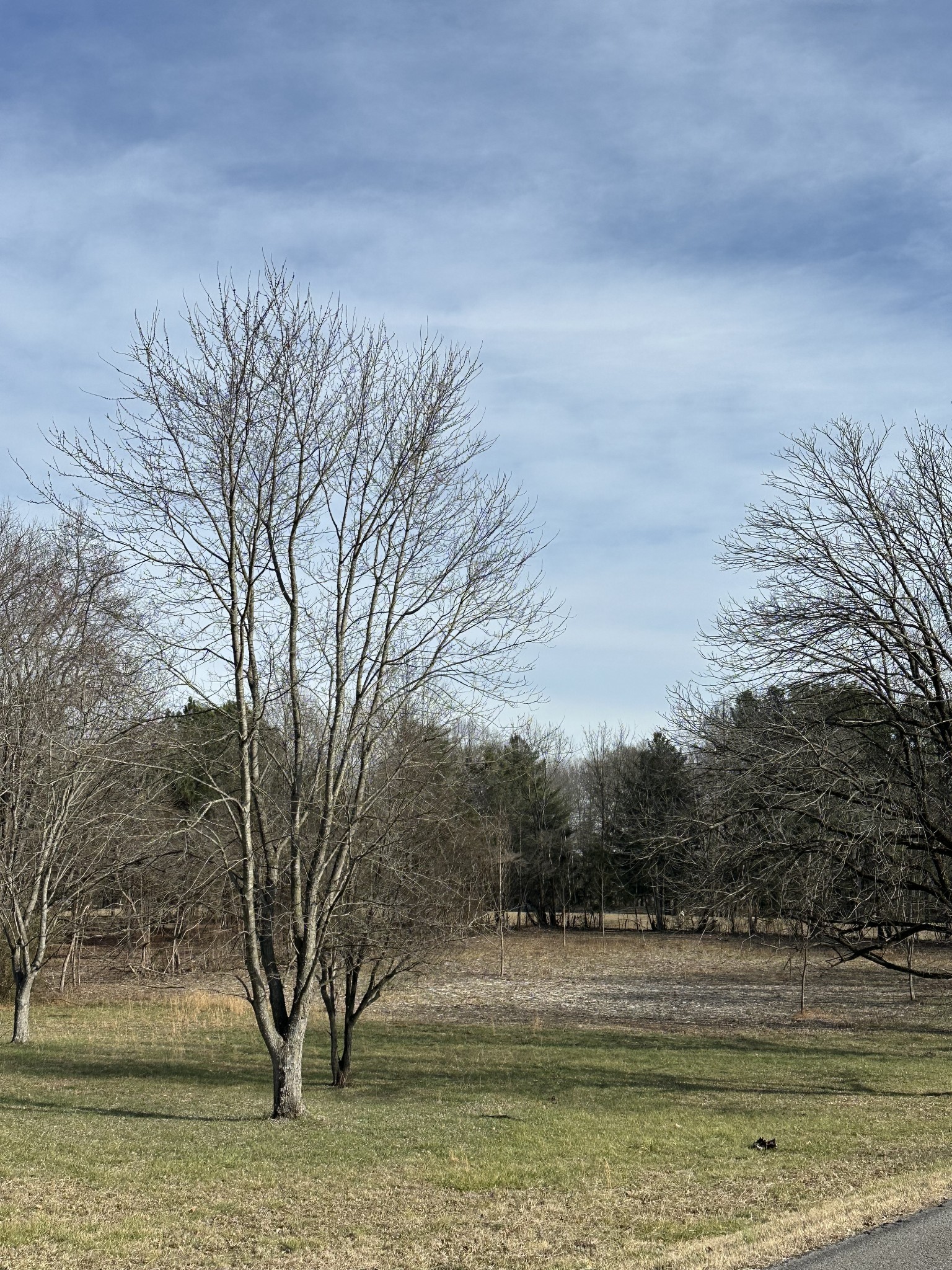 1991 Raymond Hodges Rd