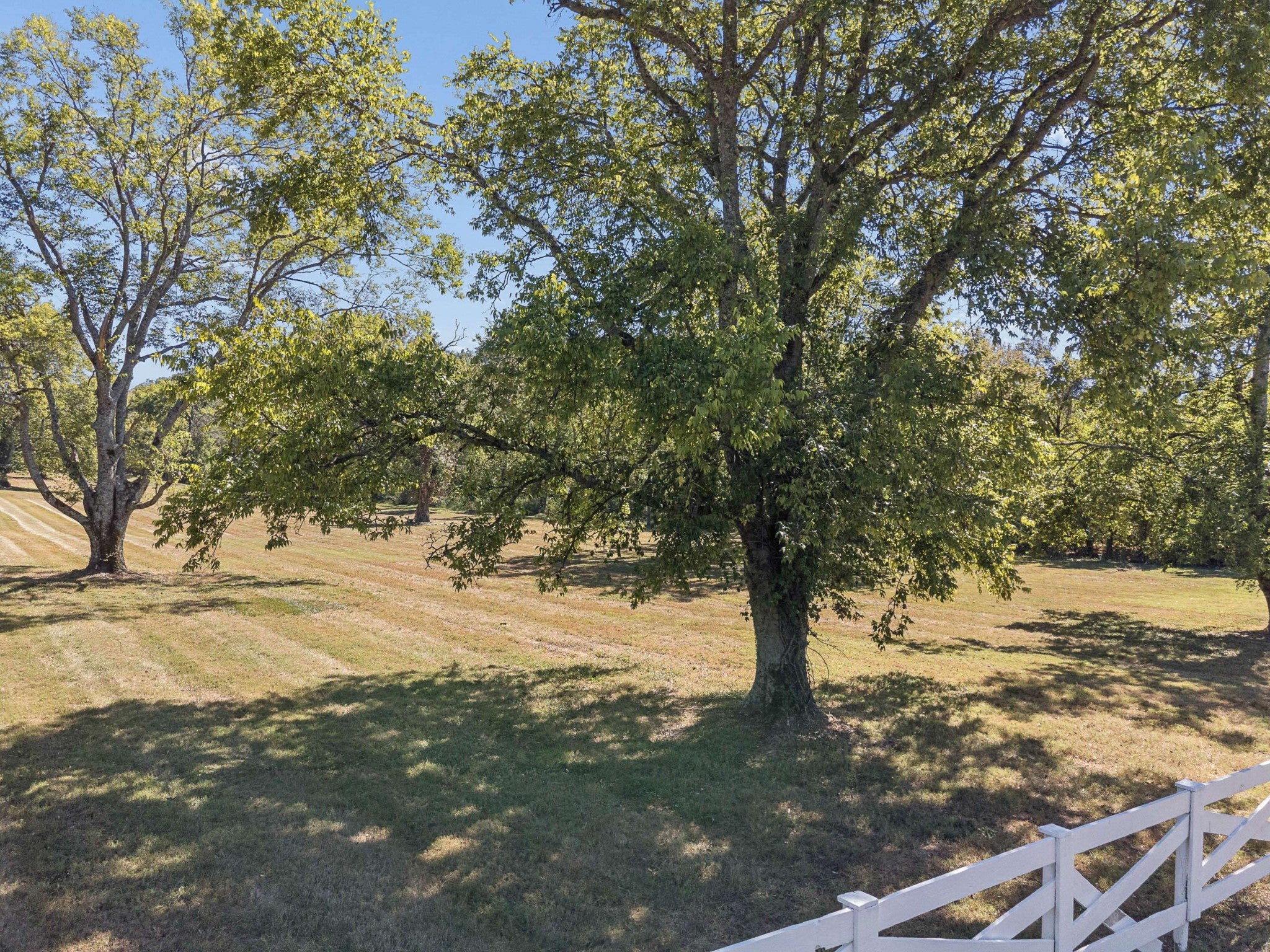 5826 Hillsboro Pike