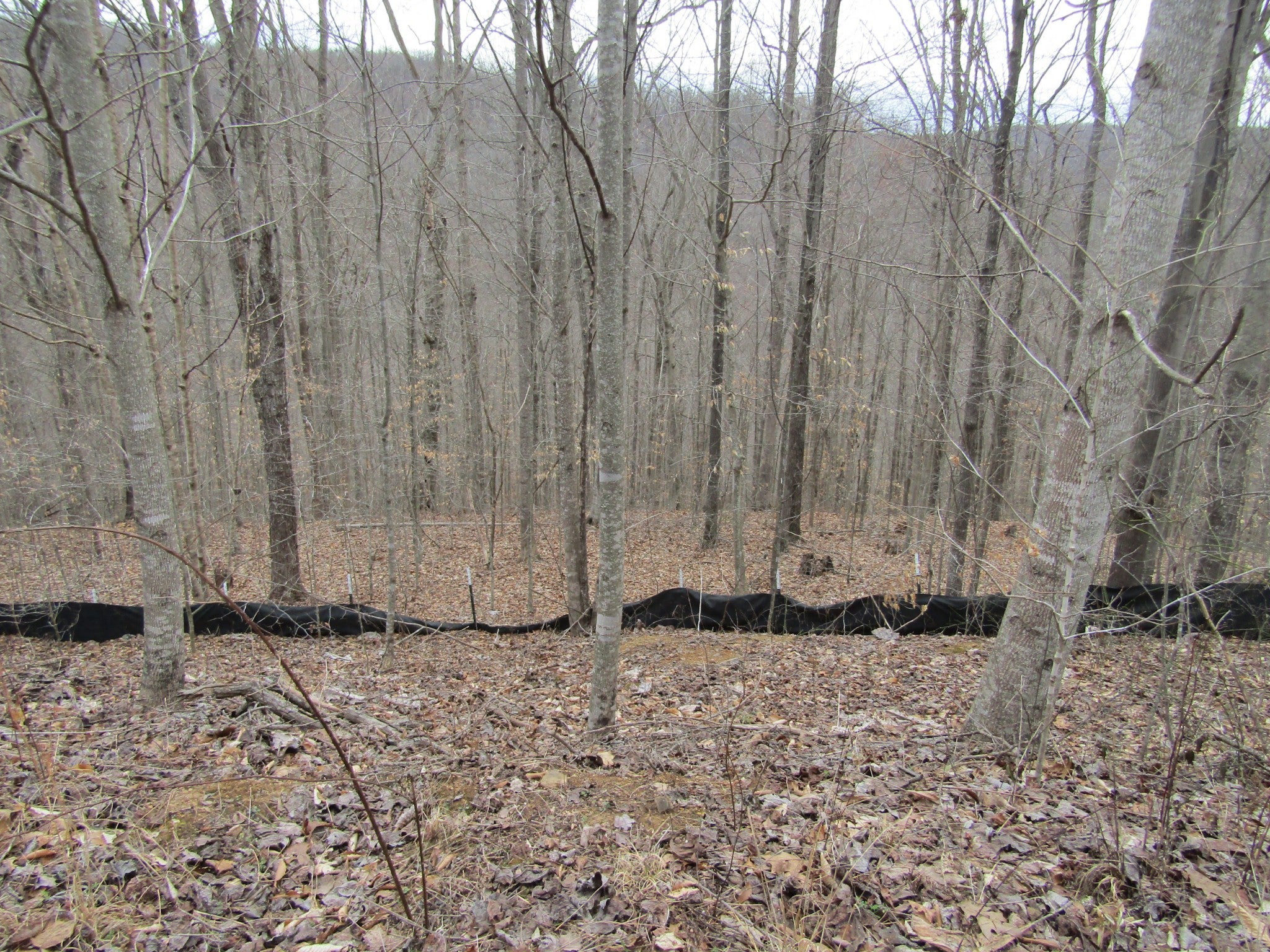 0 Bobcat Lane