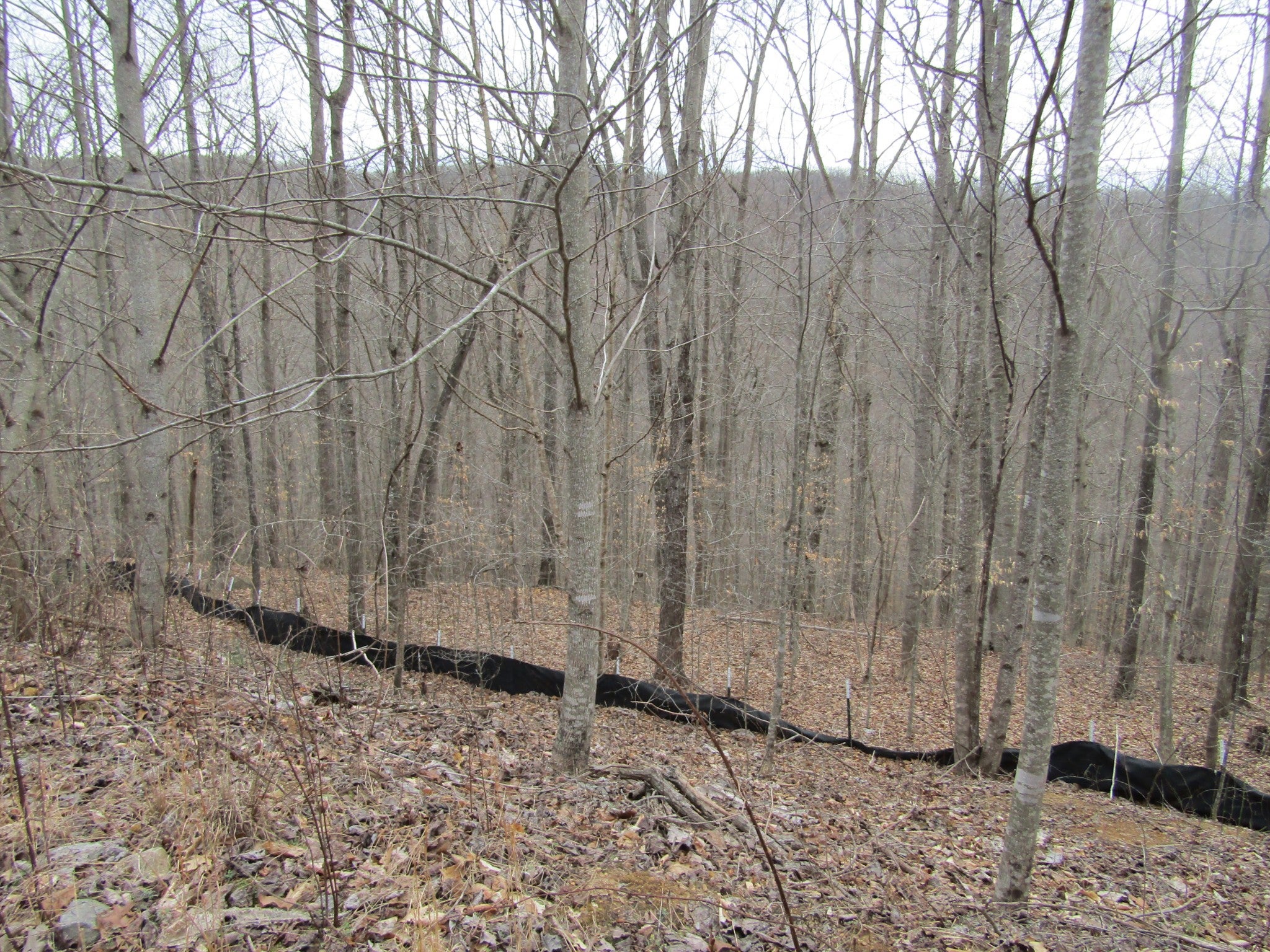 0 Bobcat Lane