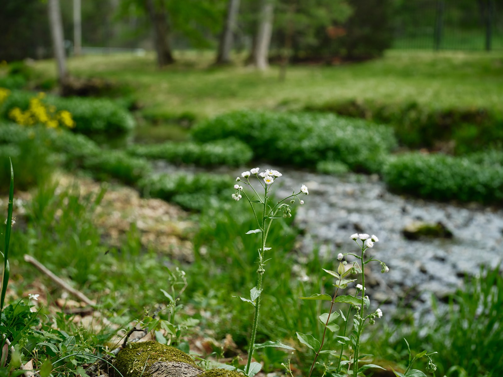 2925 Old Clarksville Pike