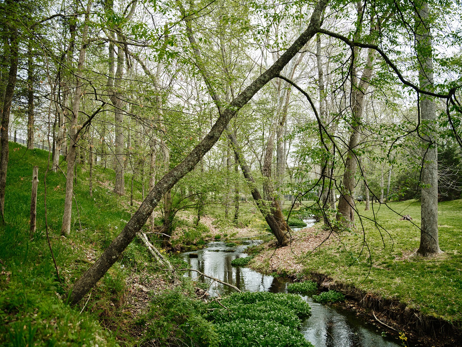 2925 Old Clarksville Pike