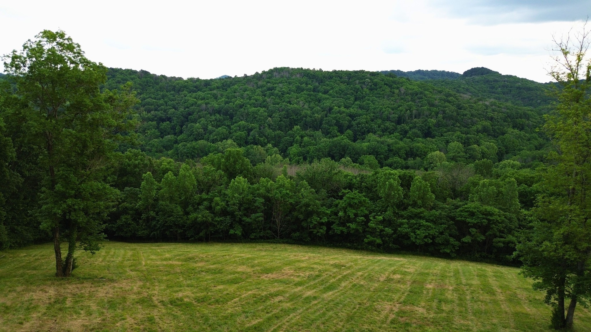 1291 Johnson Hollow Rd