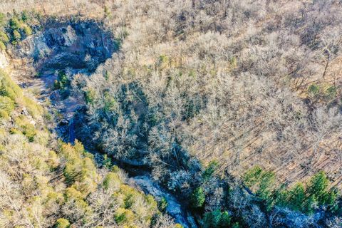 0 Red Tuttle Road Bethpage TN 37022