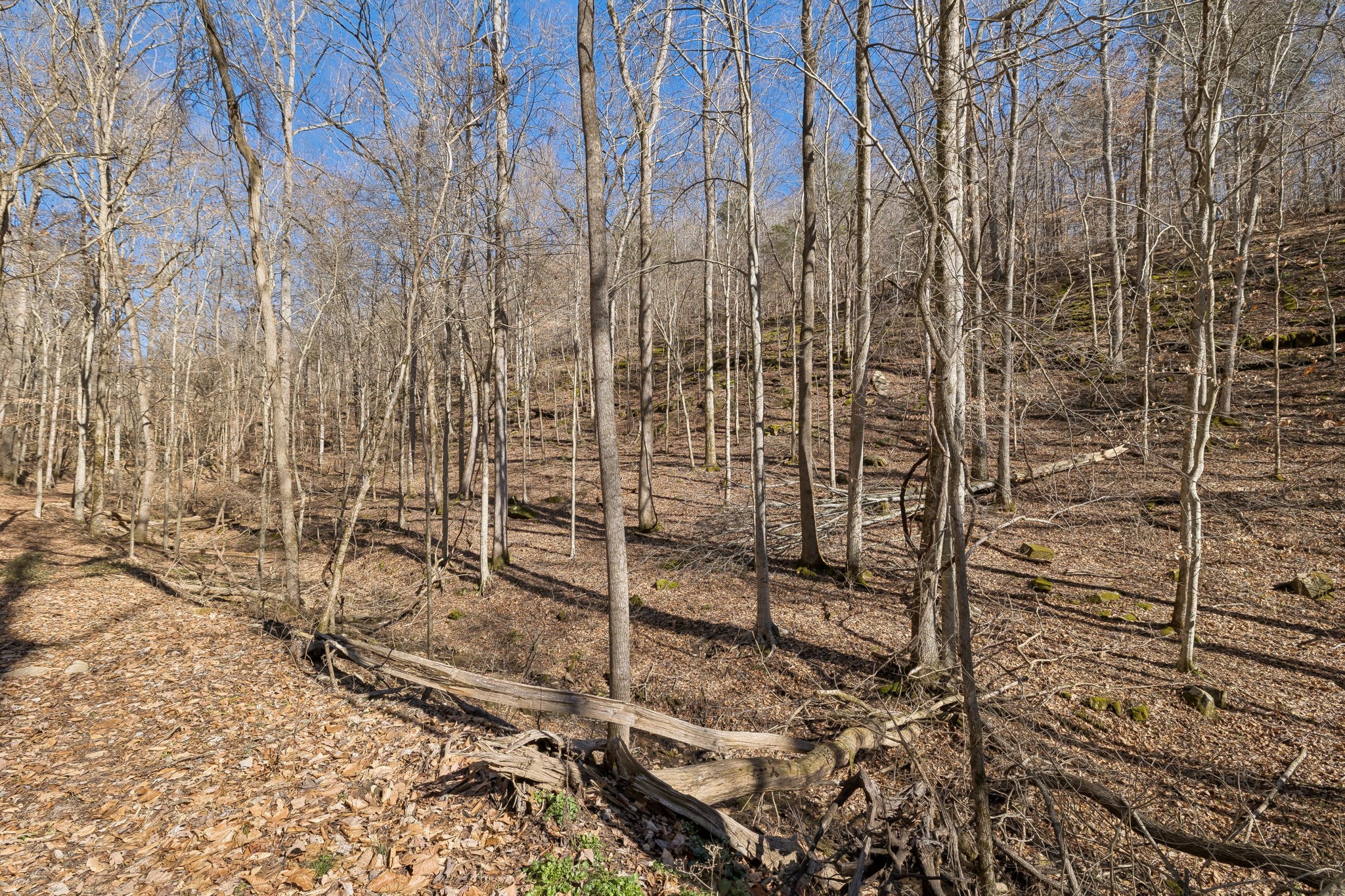 0 Hurricane Creek Road