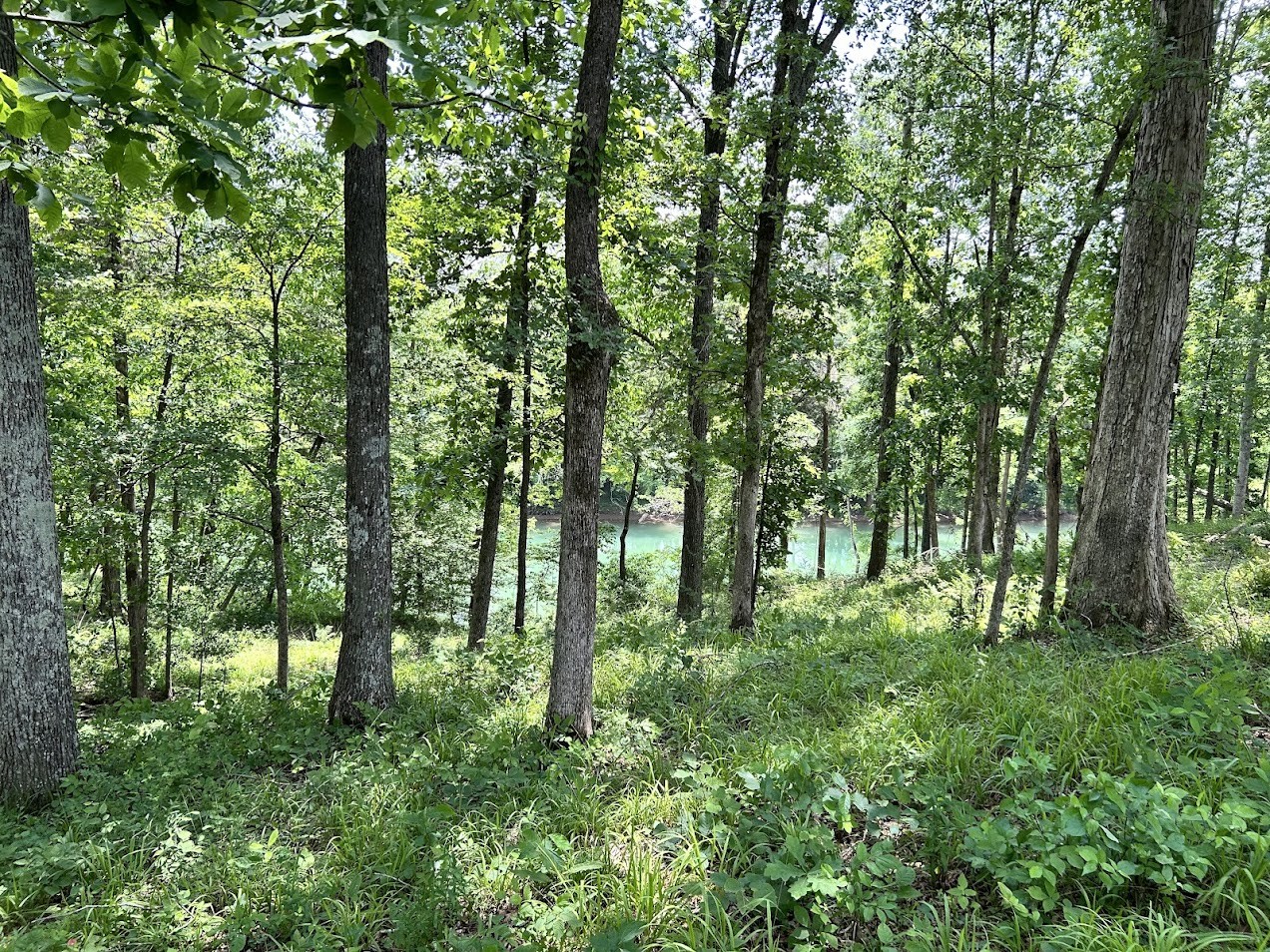 0 Anchor Bend Dr
