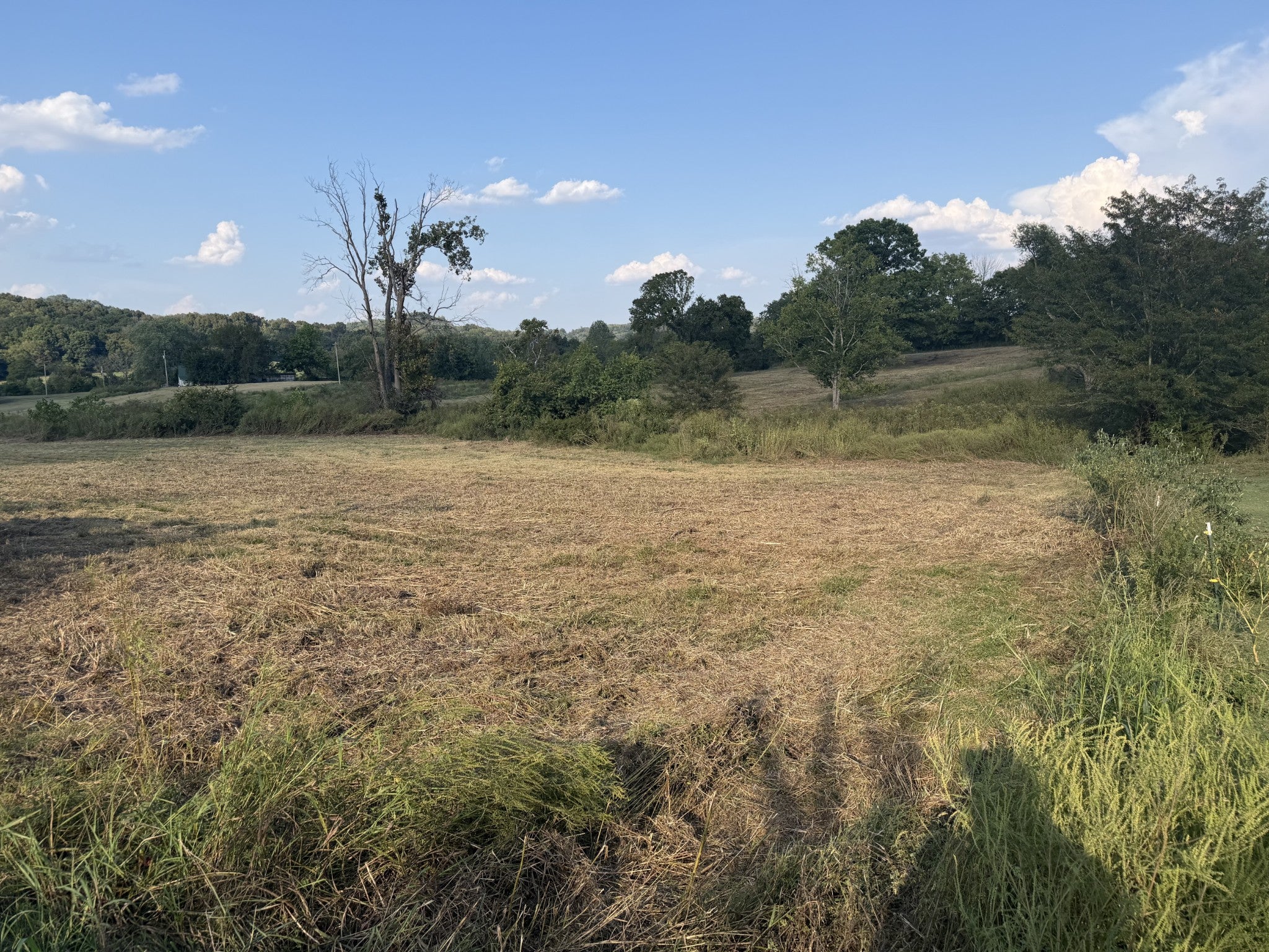 1 Hog Hollow Ln
