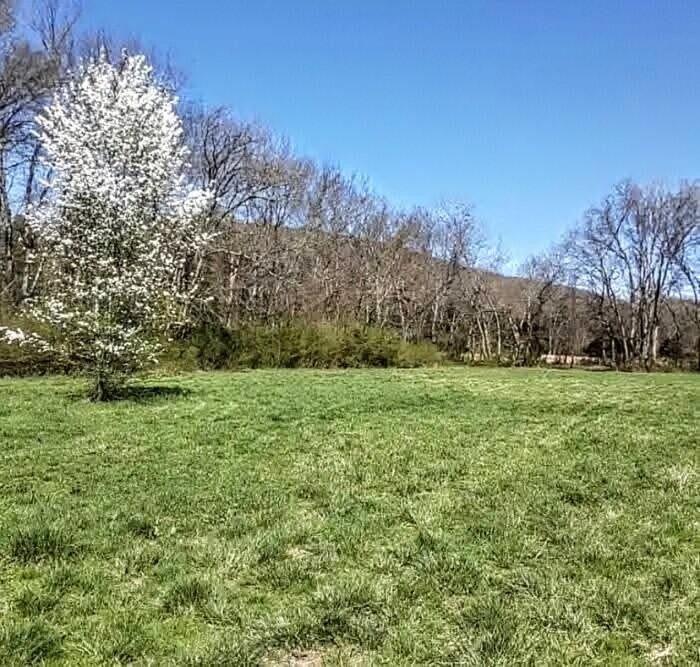 0 Hills Creek RD