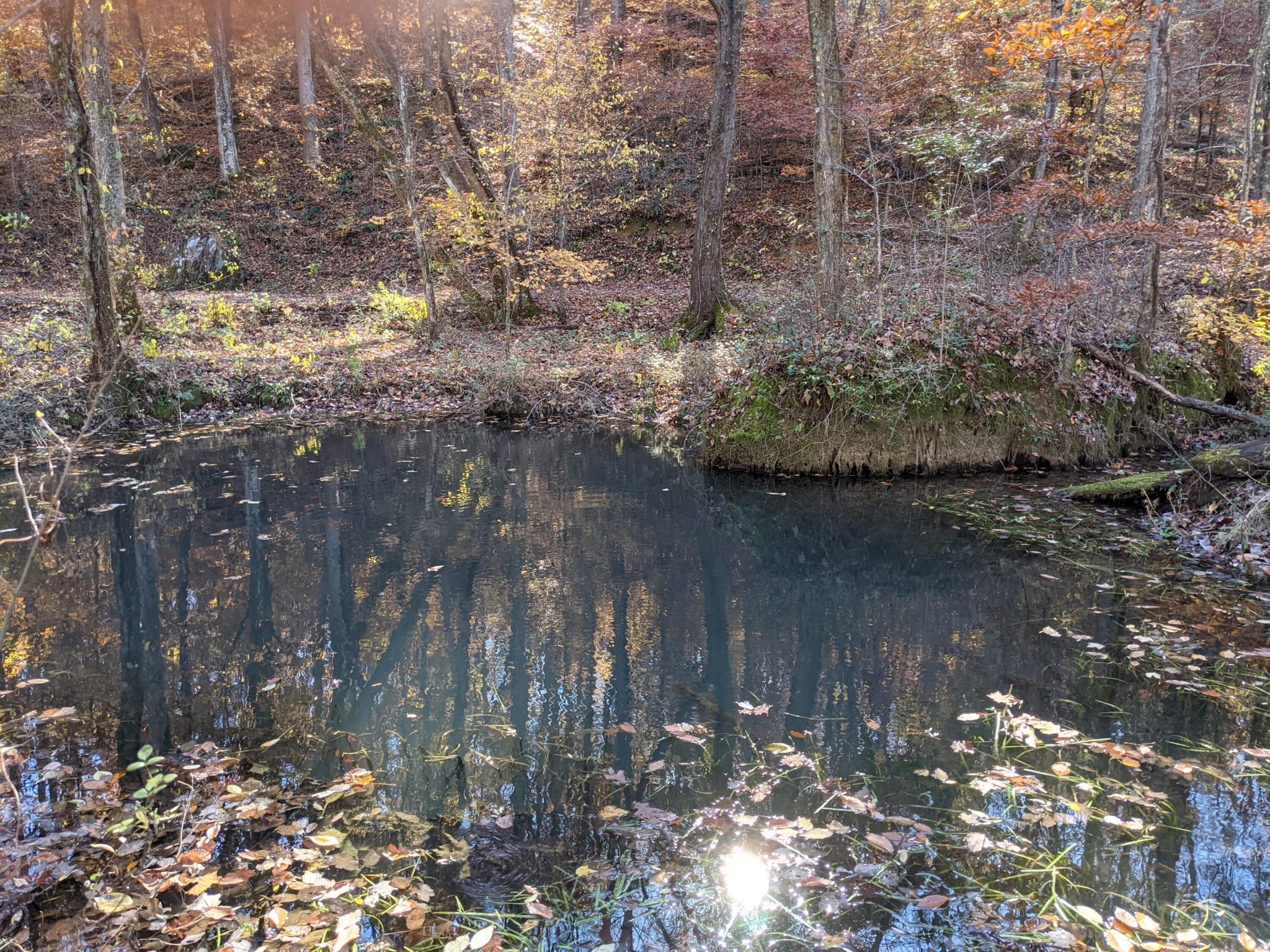 10688 Pine Hill Road