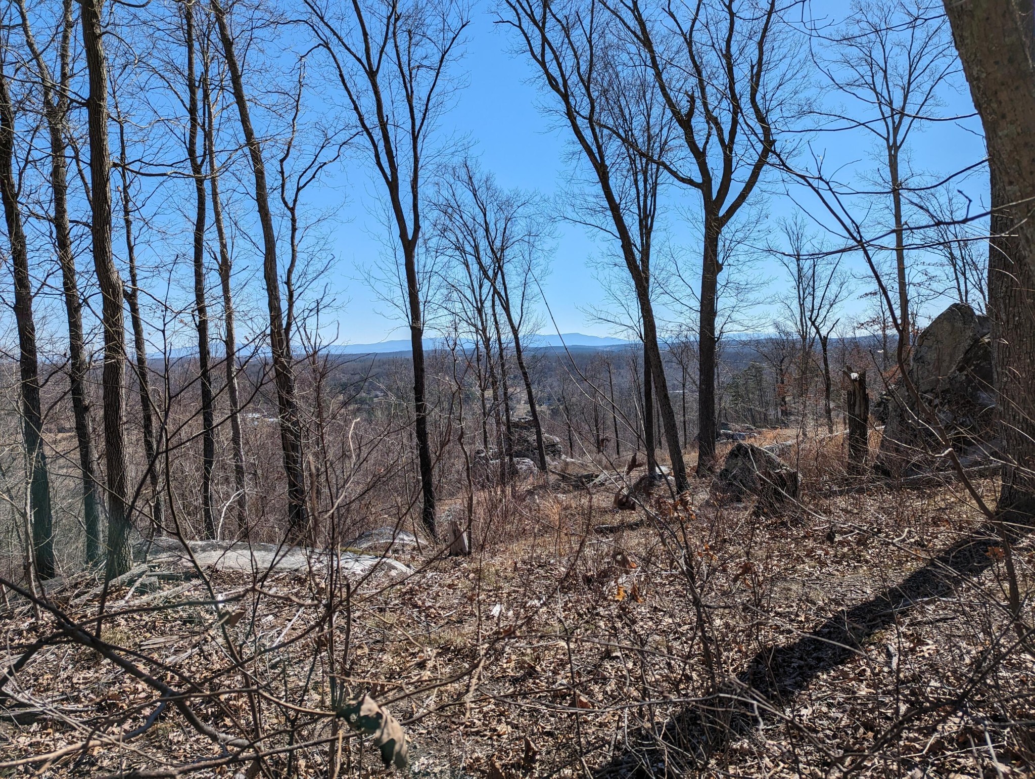 10688 Pine Hill Road