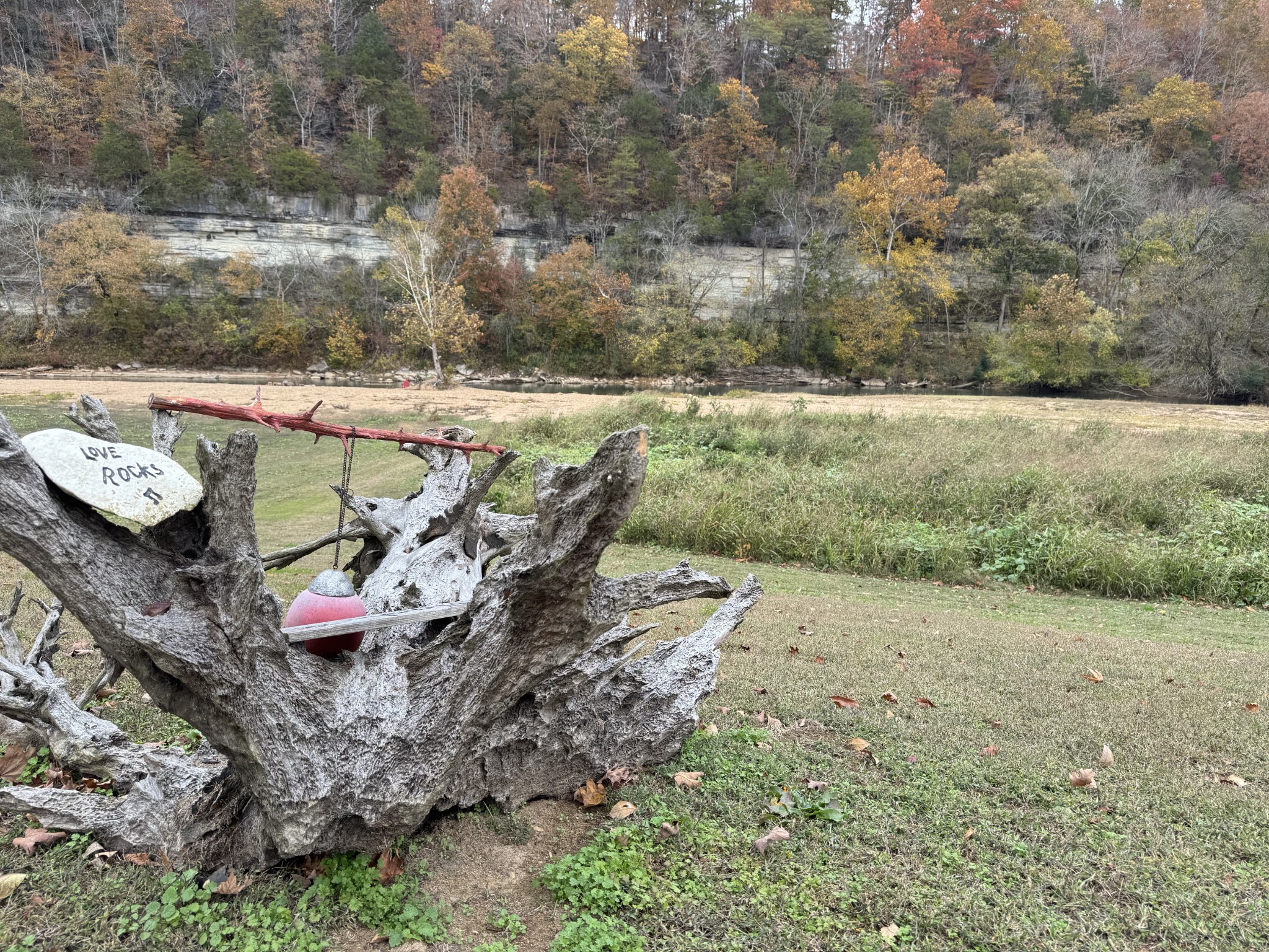 145 Big Buffalo Estates Cir