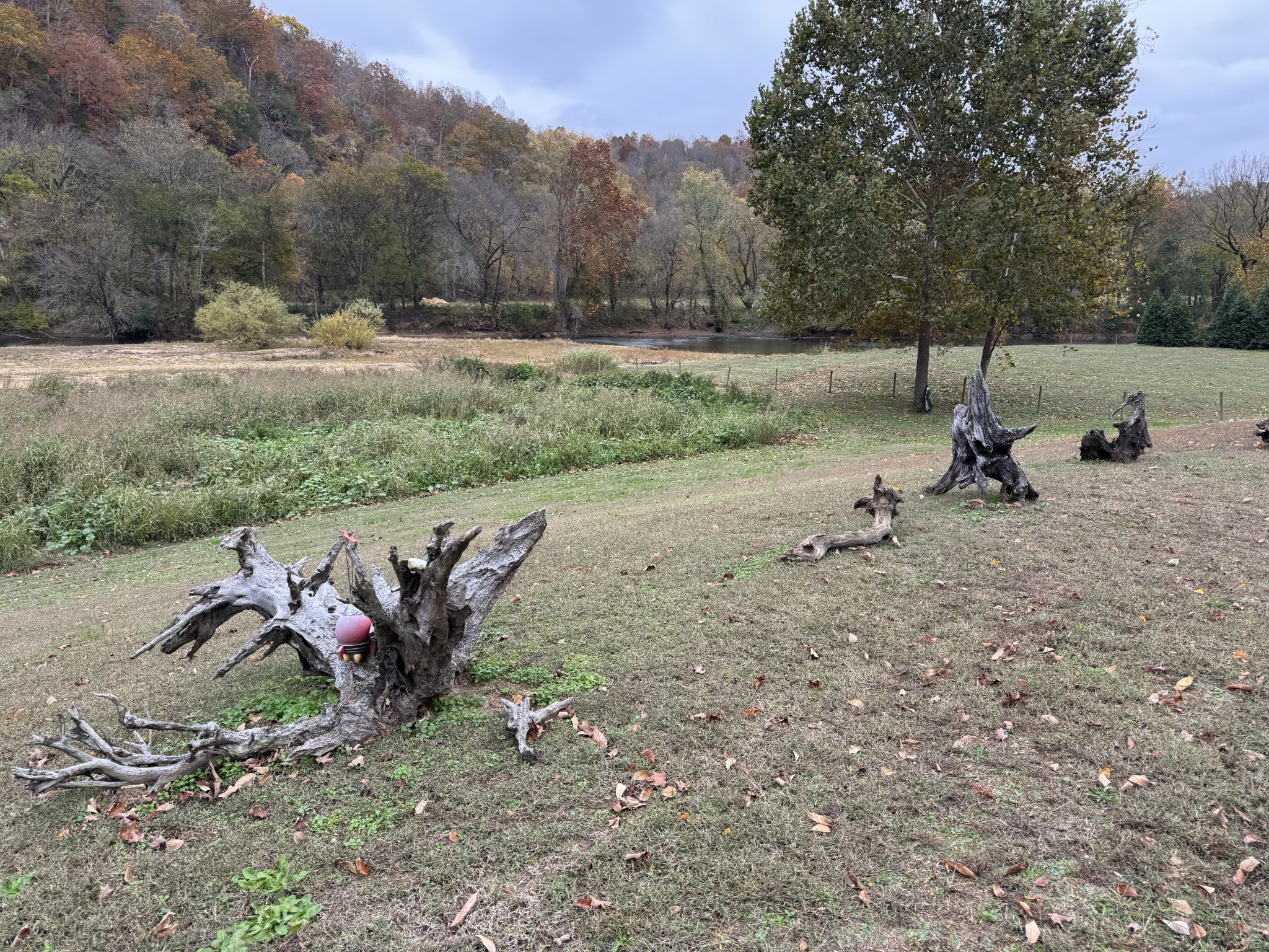 145 Big Buffalo Estates Cir