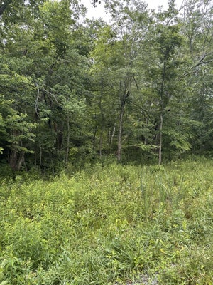 3119 CROW DR, CROSSVILLE, TN 38572 - Image ac2bd4e5ff65c7992a7c87d28faba204/2275910211