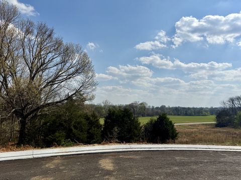 Photo of 527 Divine Ct, Arrington, TN 37014 (MLS # 3214131)