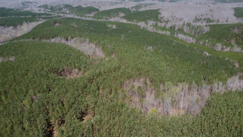 0 Sassafras Stand Ridge Road Linden TN 37096