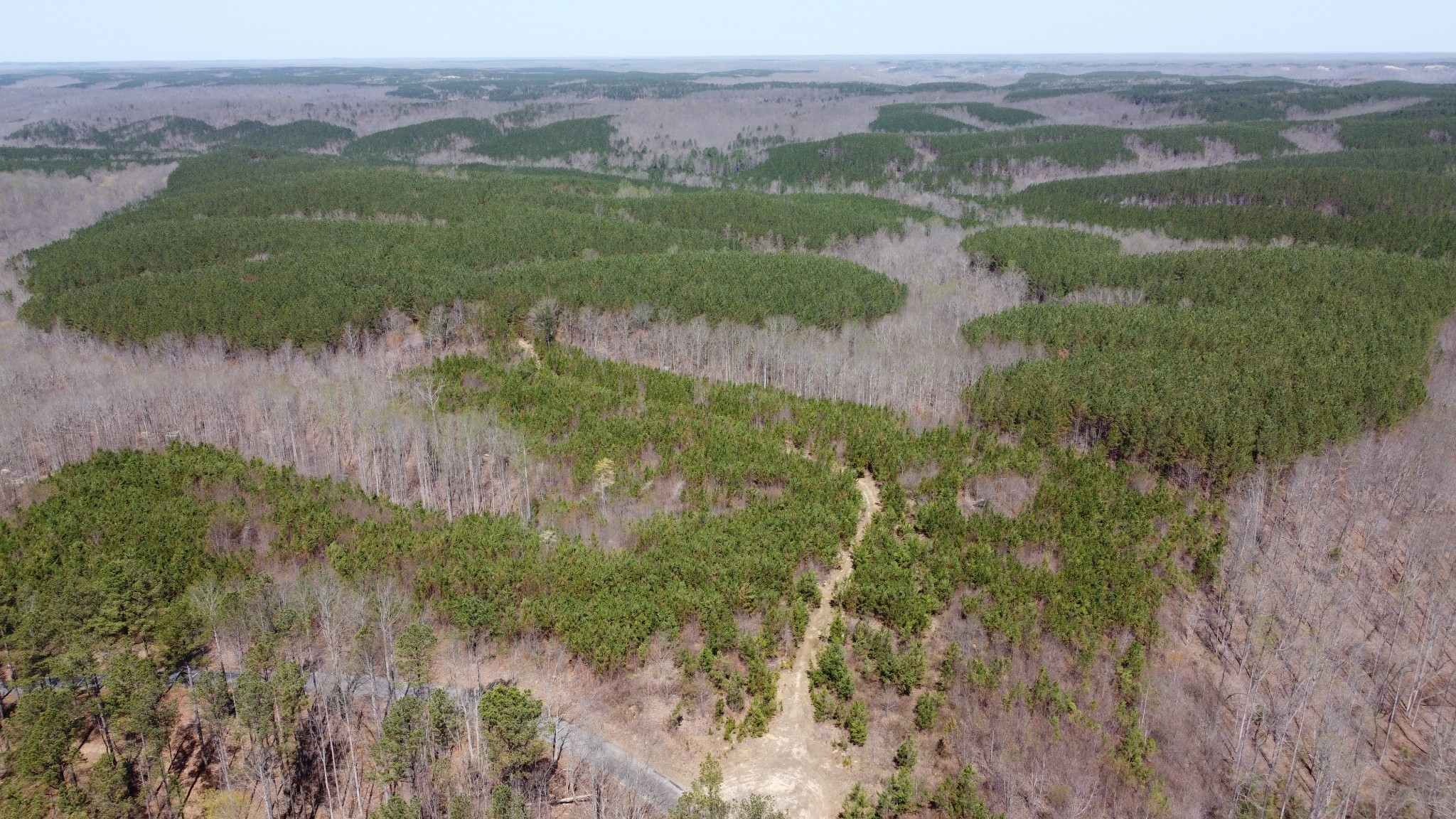 0 Sassafras Stand Ridge Road