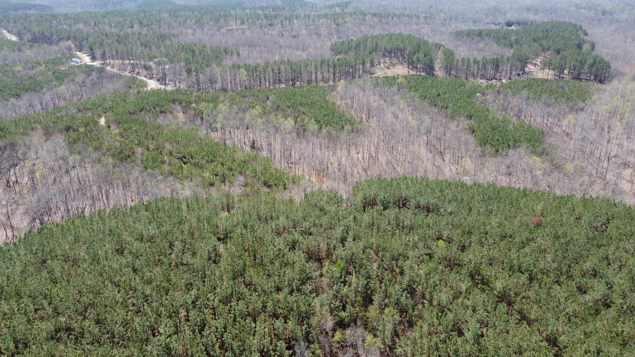 0 Sassafras Stand Ridge Road