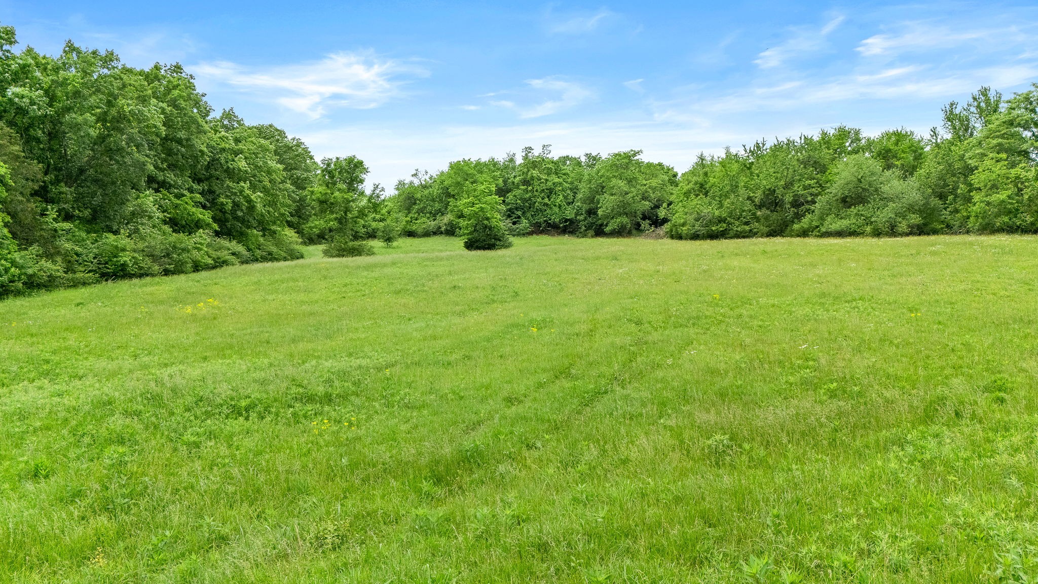0 Rabbit Branch Road