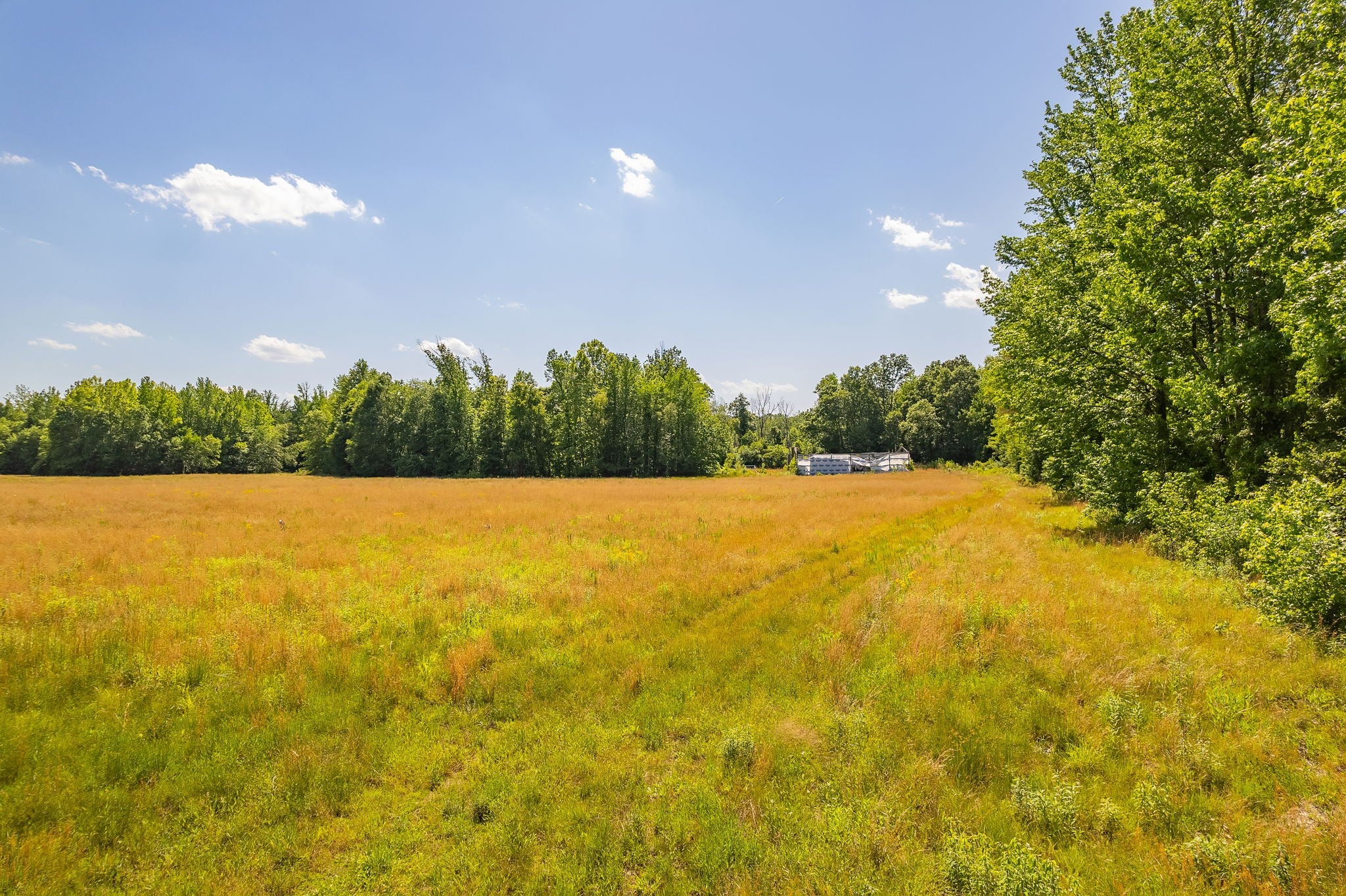 2800 Plainview Road