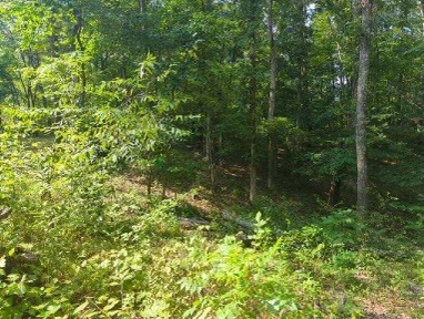 1346 Elliot Rd