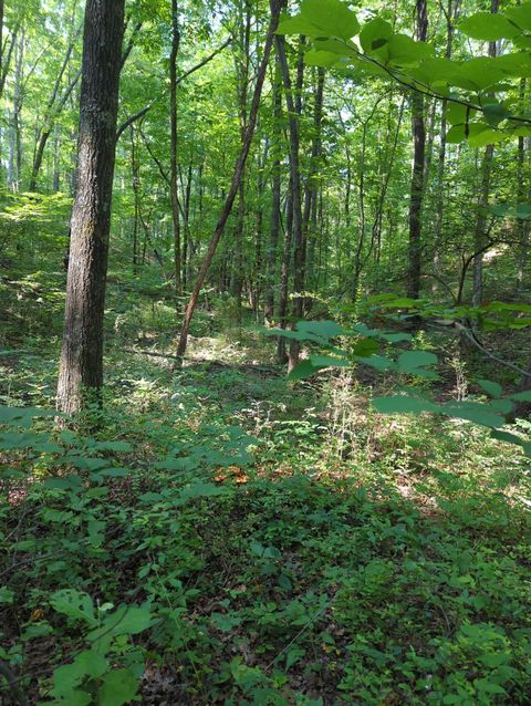 1346 Elliot Rd Nunnelly TN 37137