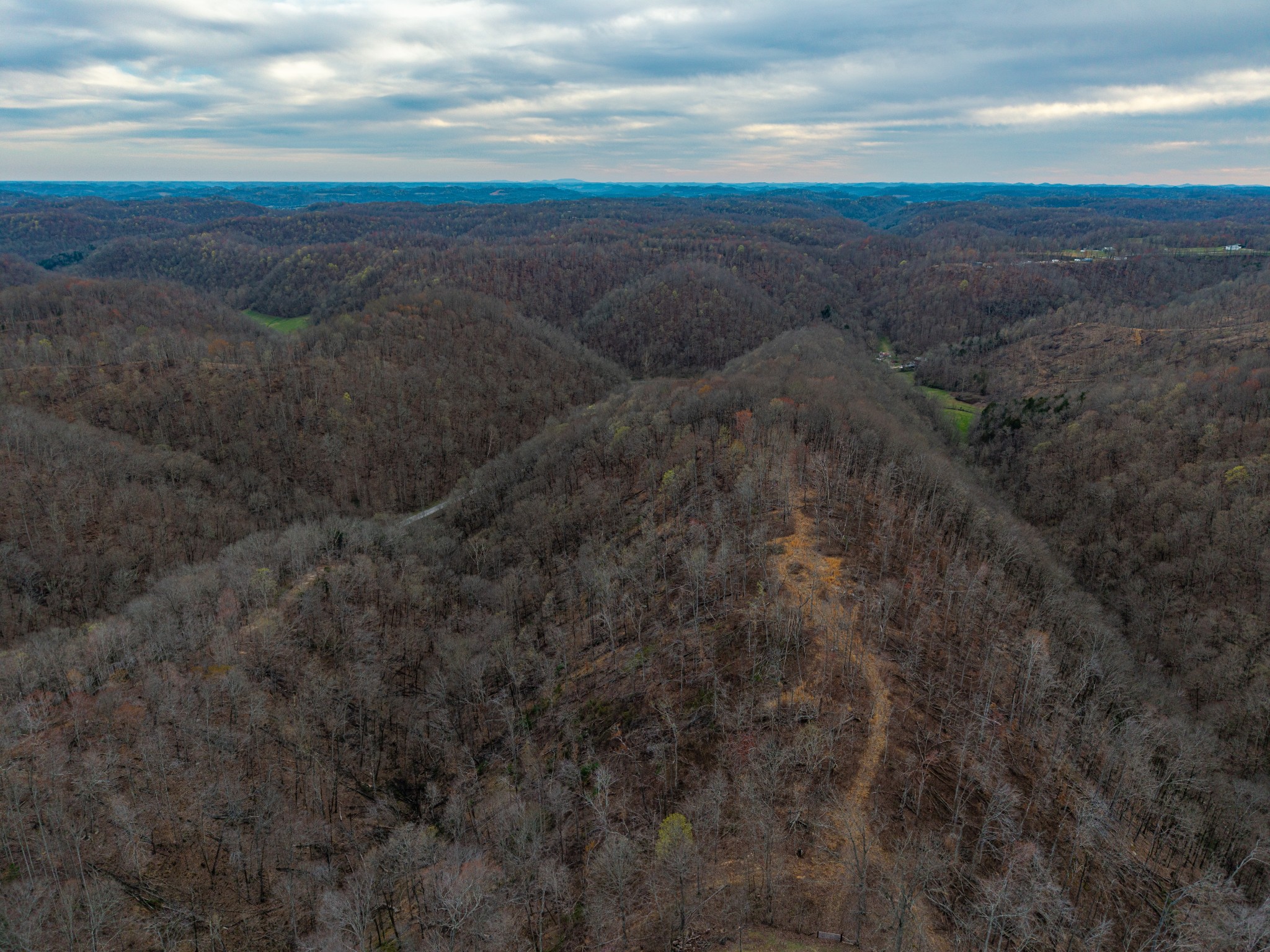 1438 Wartrace Road