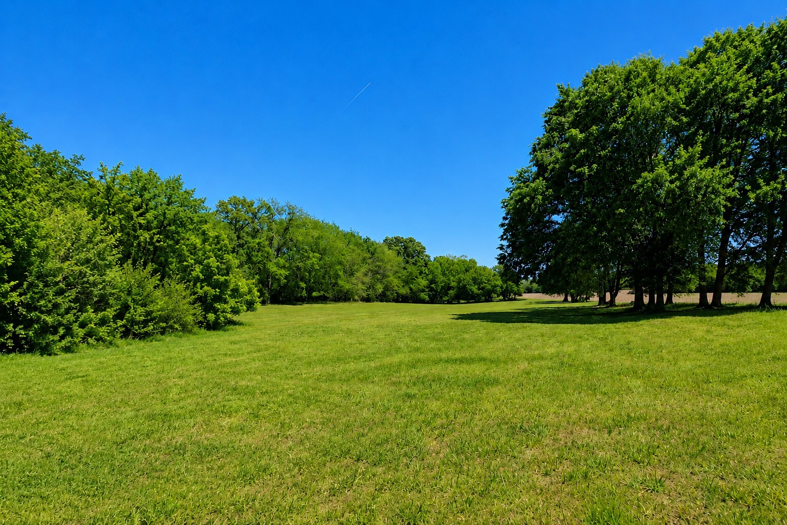 4628 Hwy 31W