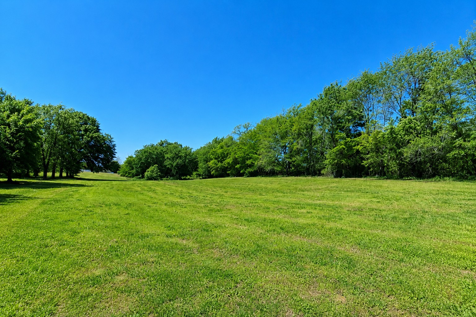4628 Hwy 31W
