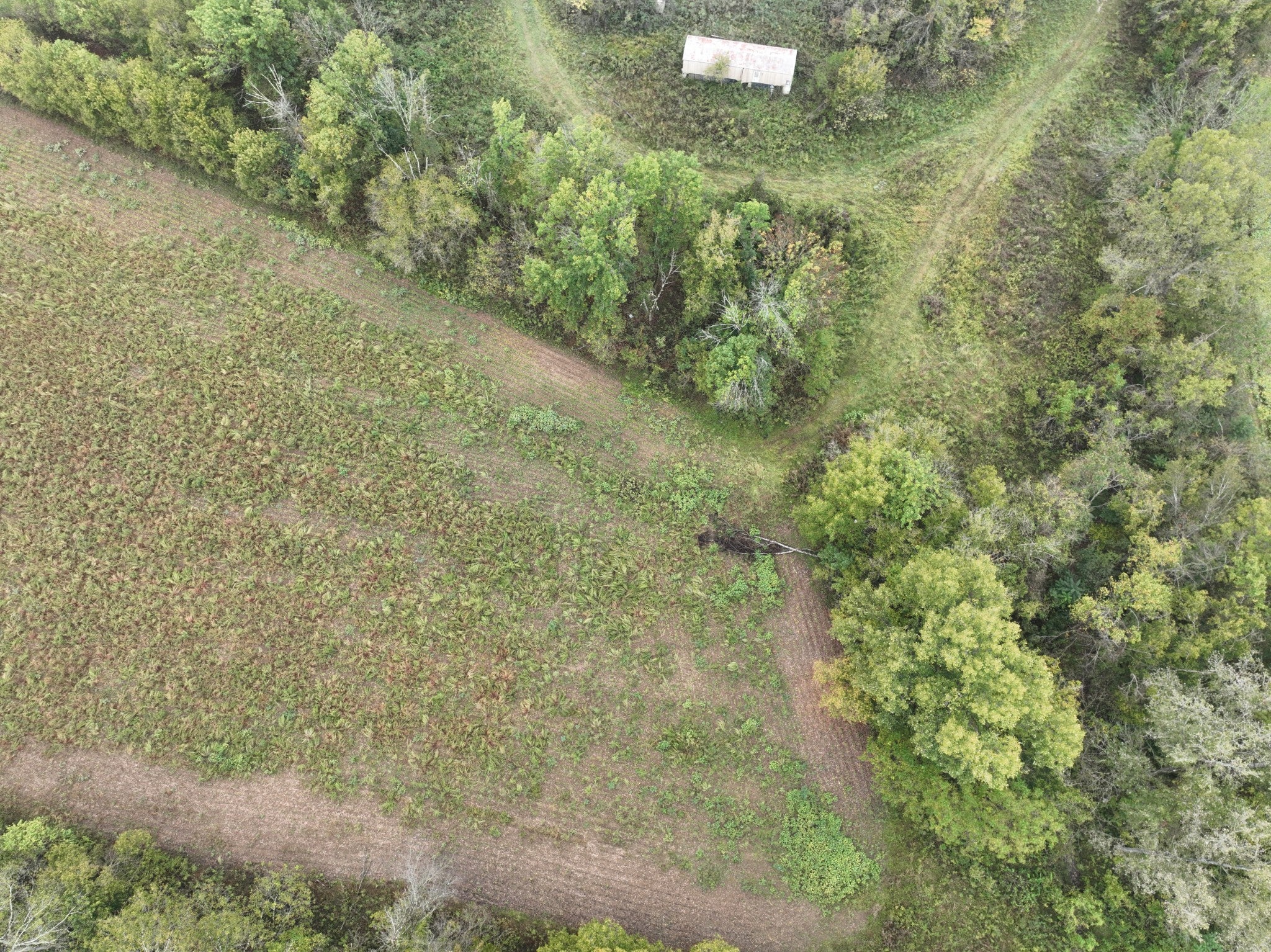 1766 Clifty Rd