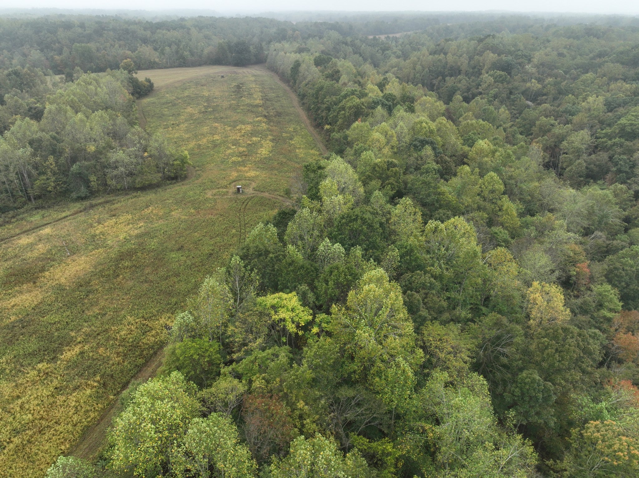 1766 Clifty Rd