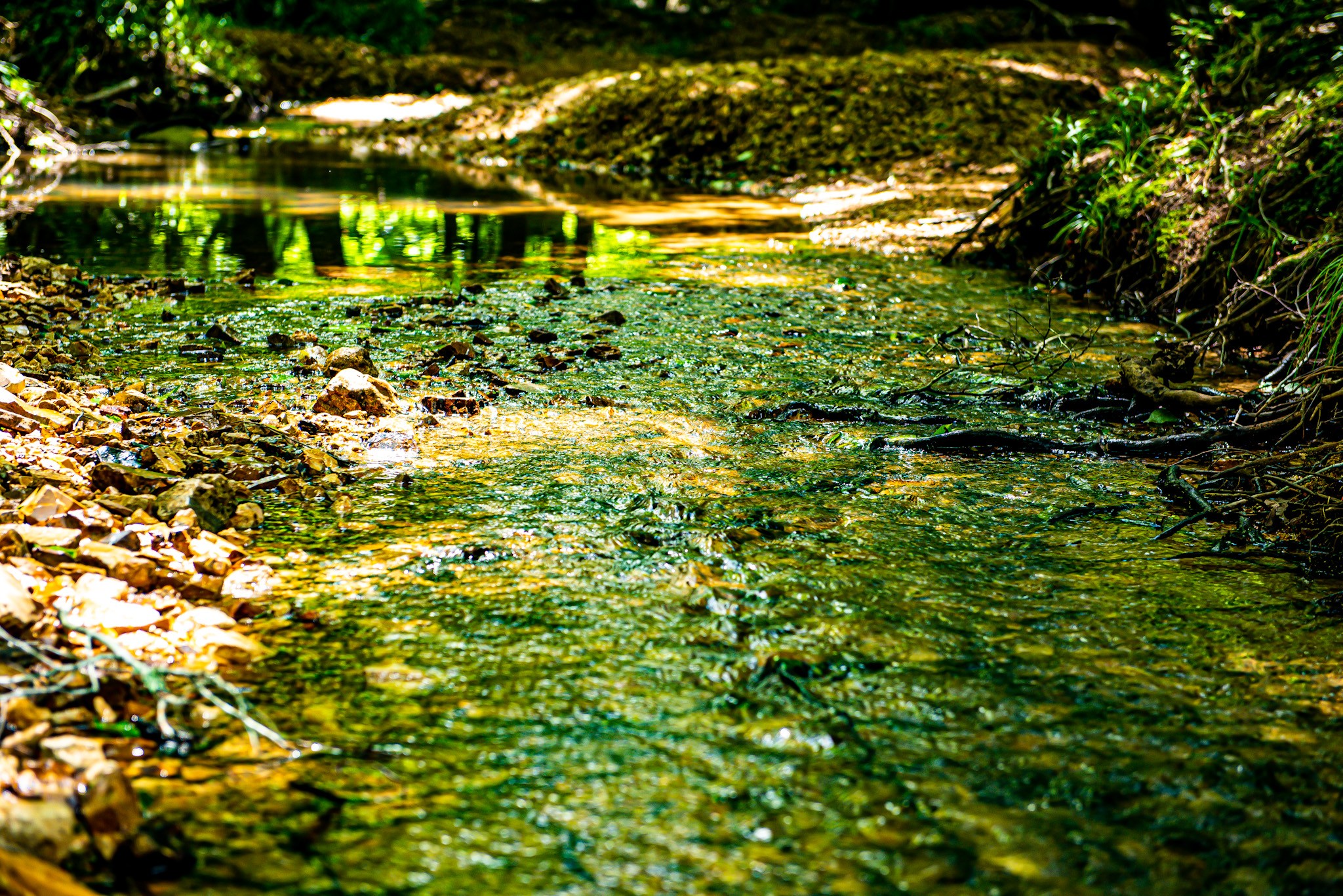 47 Overlook Point Rd